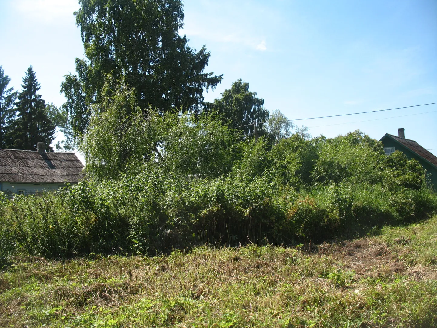 Küll kadunud, küll olematute dokumentide tõttu jäi Piirissaarel osa maad endistele omanikele tagastamata. Nüüd on need maatükid külades kasvanud suurde võssa, kus elavad metsloomad.