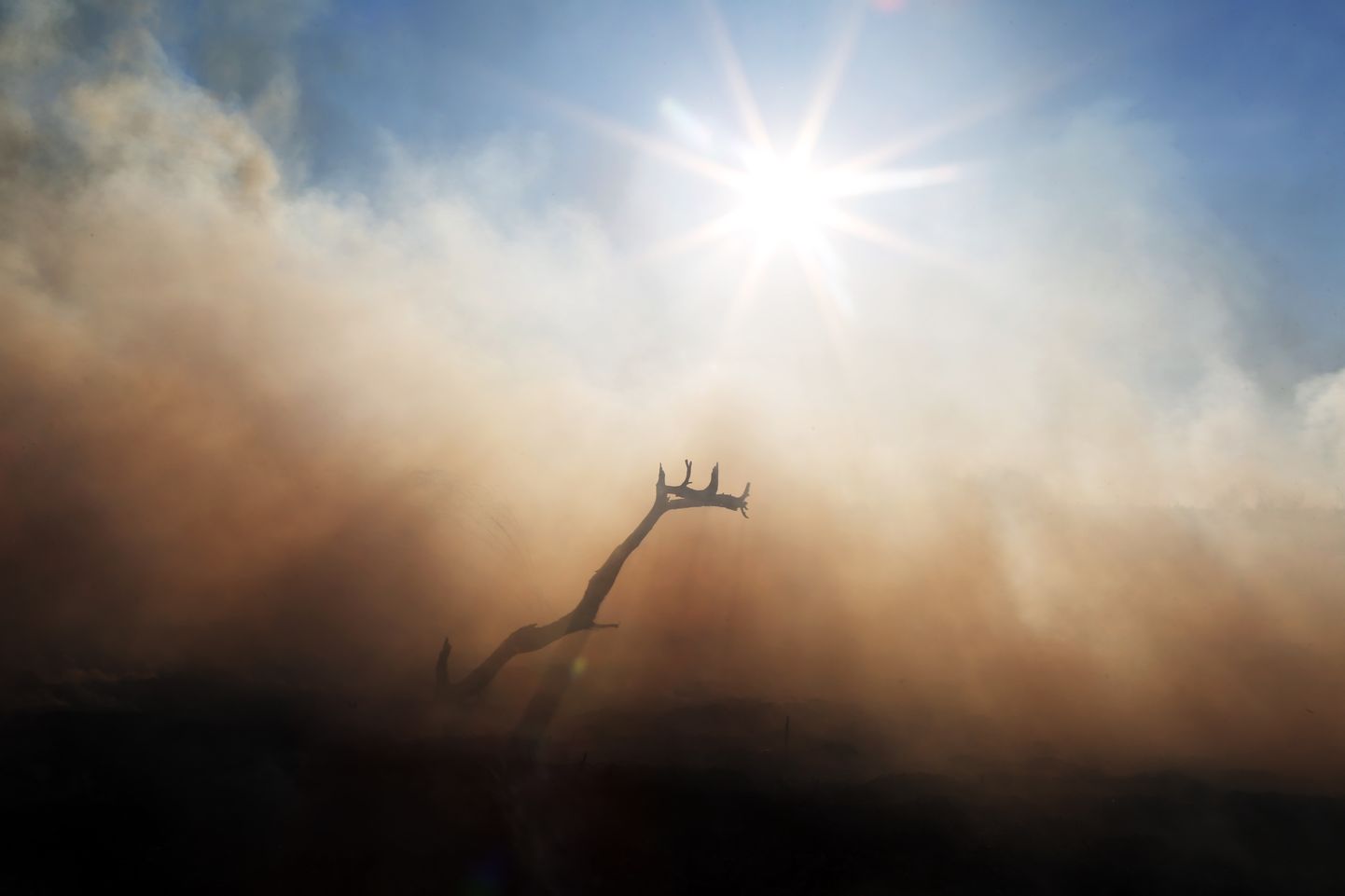 Kūlas ugunsgrēks Spilves pļavās. Ilustratīvs foto