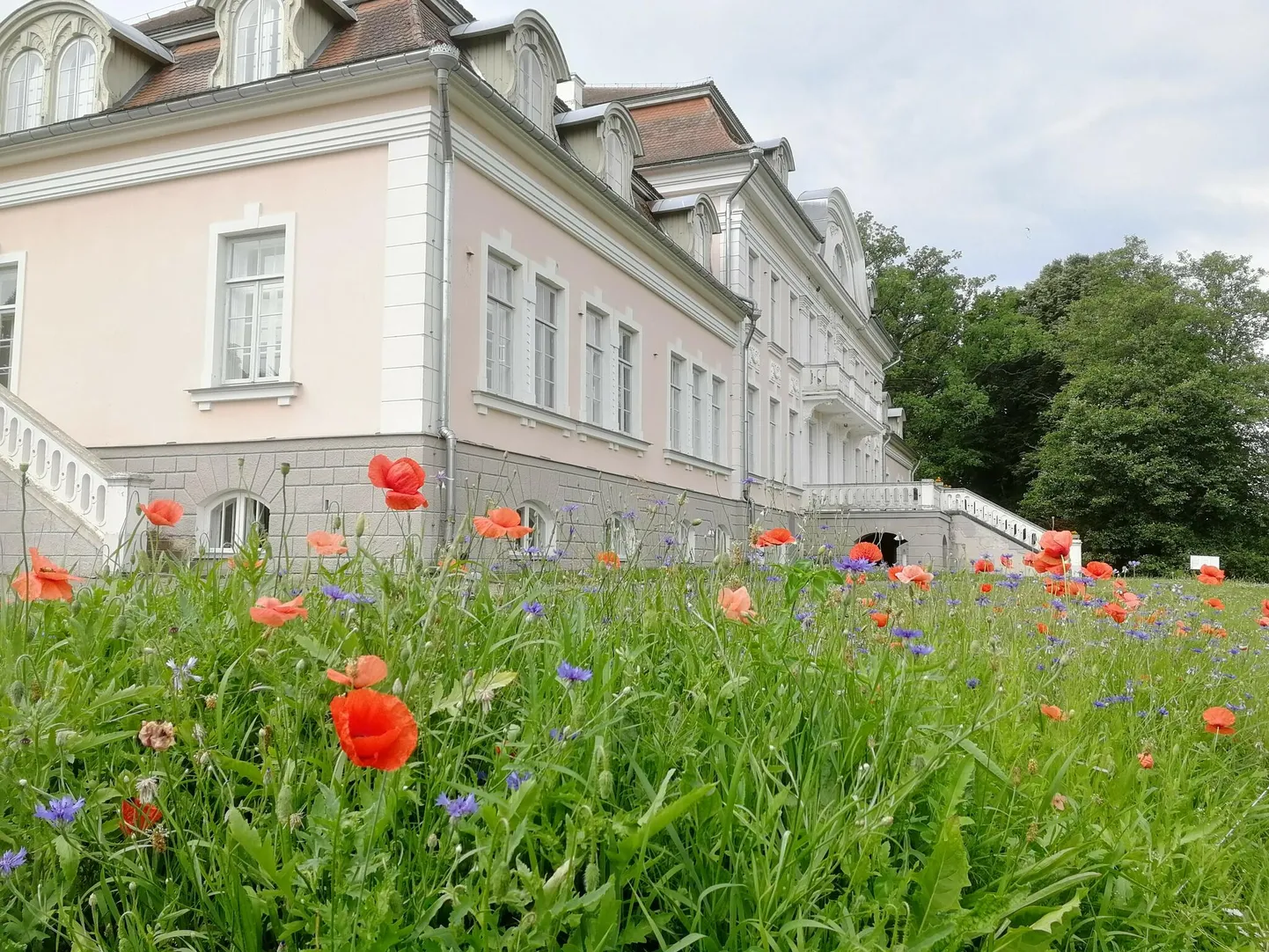 Laupa kooli juurde rajatud lilleaas.