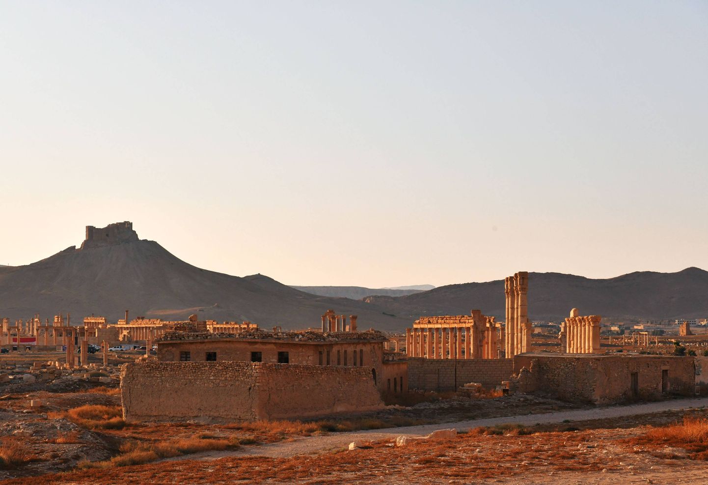 Süüria, Palmyra.