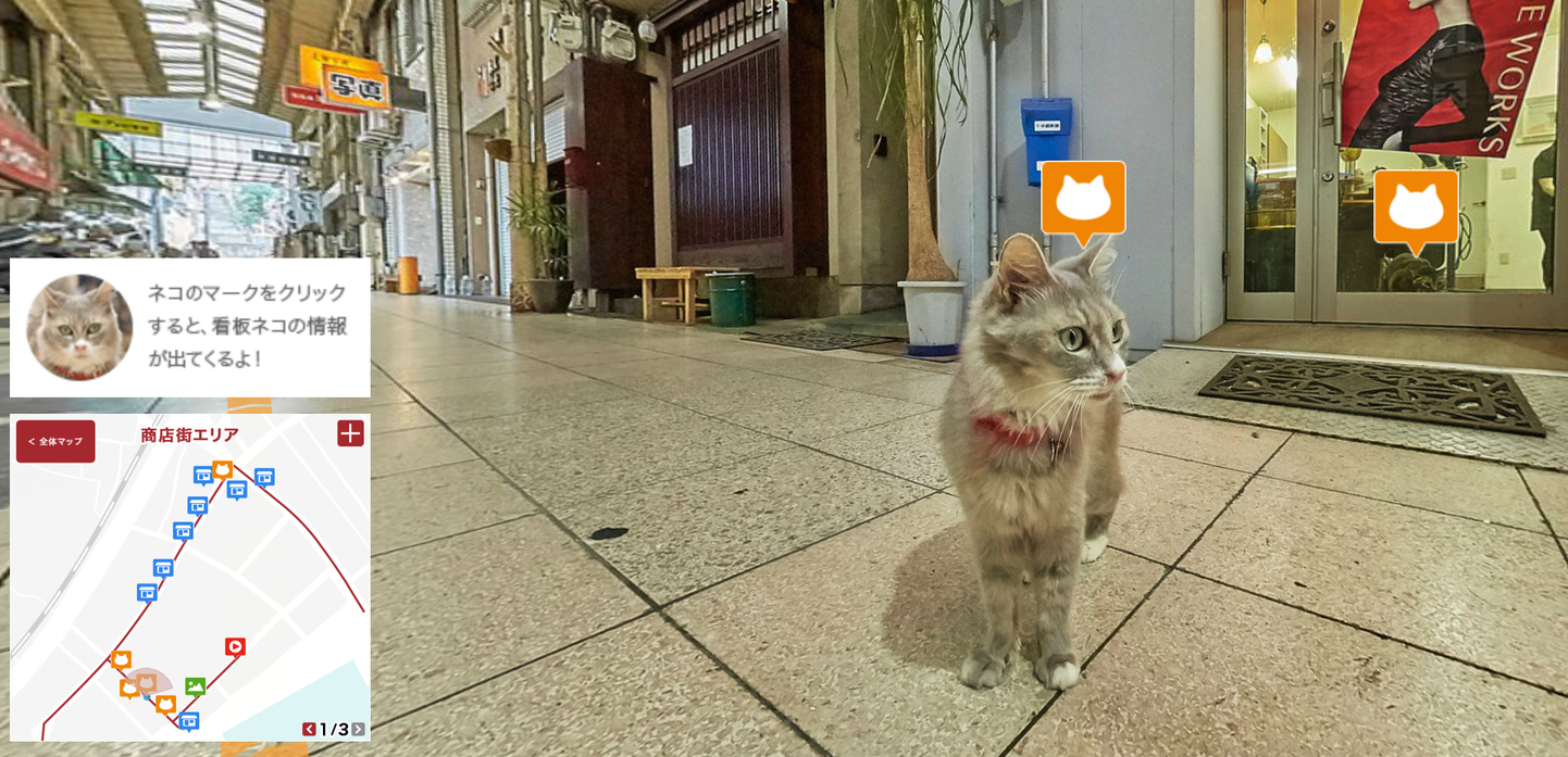 Lõpeta käpuli käimine ning vaata maailma Cat Street View kaudu.