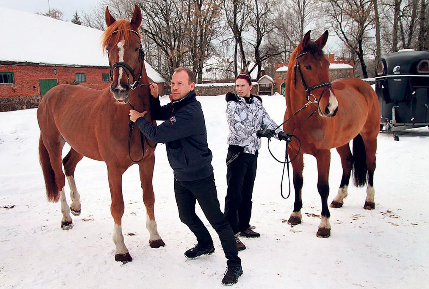 Tori hobusekasvanduse juhataja Imre Sams tõi talliõuele täku Praosti ja ratsasportlane Sandra Prez mära Linoldy, et näidata universaalset tüüpi Tori hobuseid.