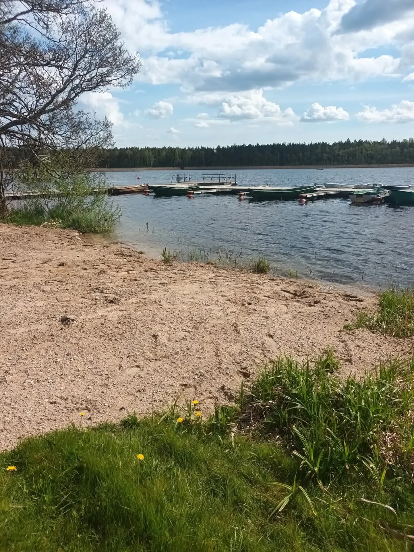 Väinjärve äärde tuleb ujumiskoht ka koertele