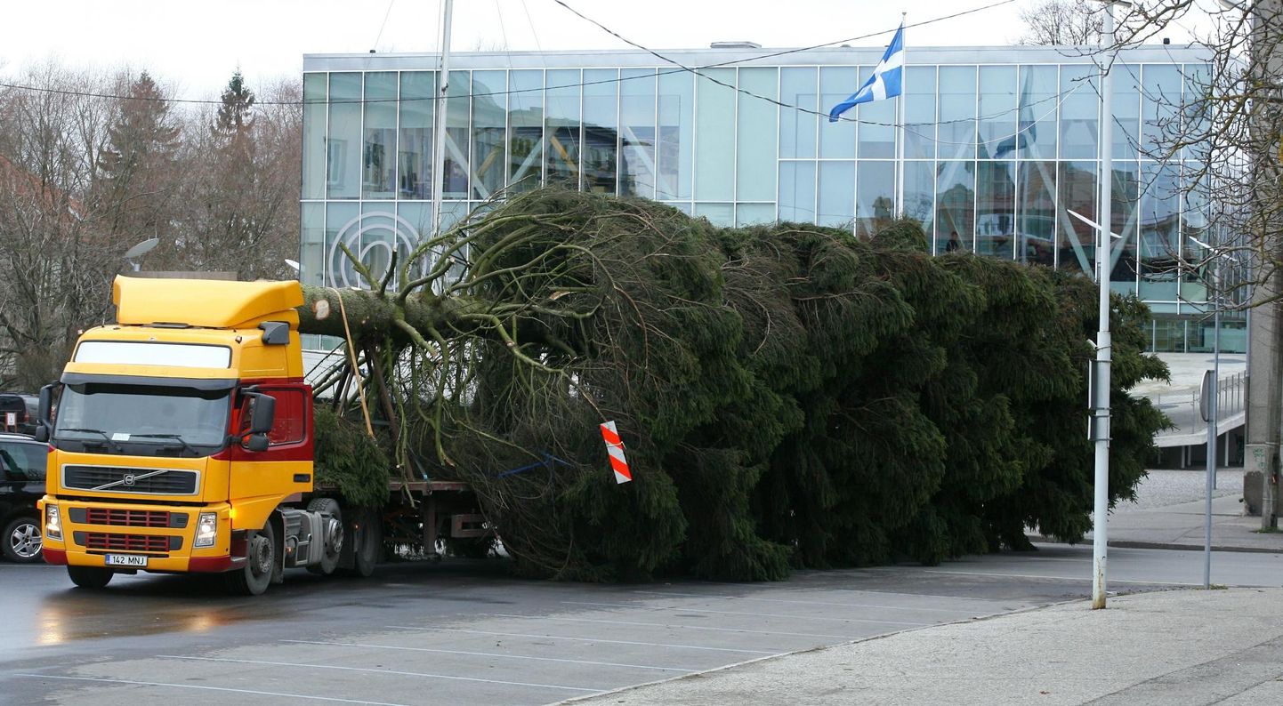 Jõulukuuse sõidutamine Pärnu Keskväljakule mõni aasta tagasi.