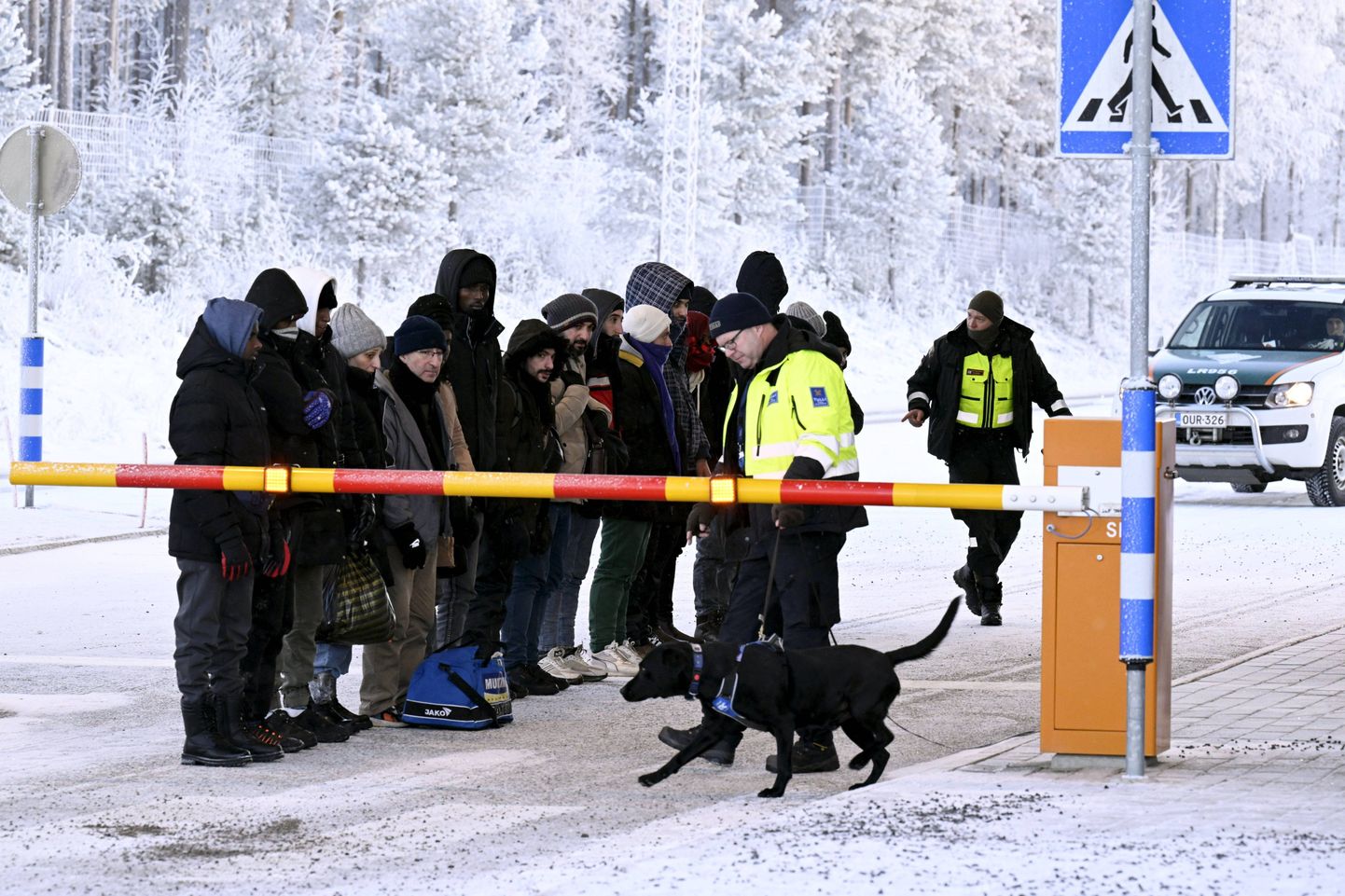 Собака финской пограничной службы обнюхивает группу мигрантов, которые прибыли из России через пока еще открытый погранпереход, ноябрь 2023 года.