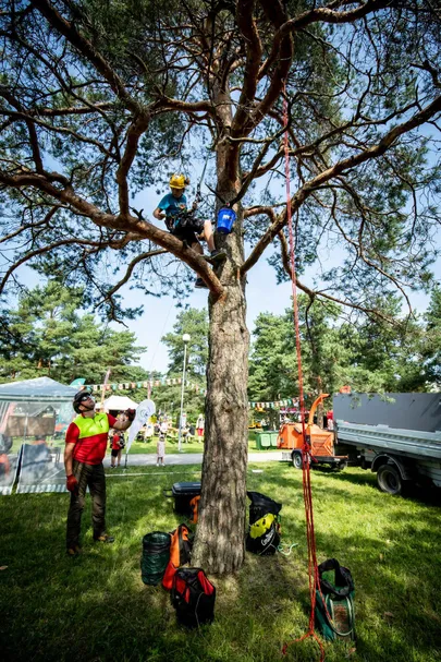 Kogu pere metsapäev tõi metsa Tallinnasse