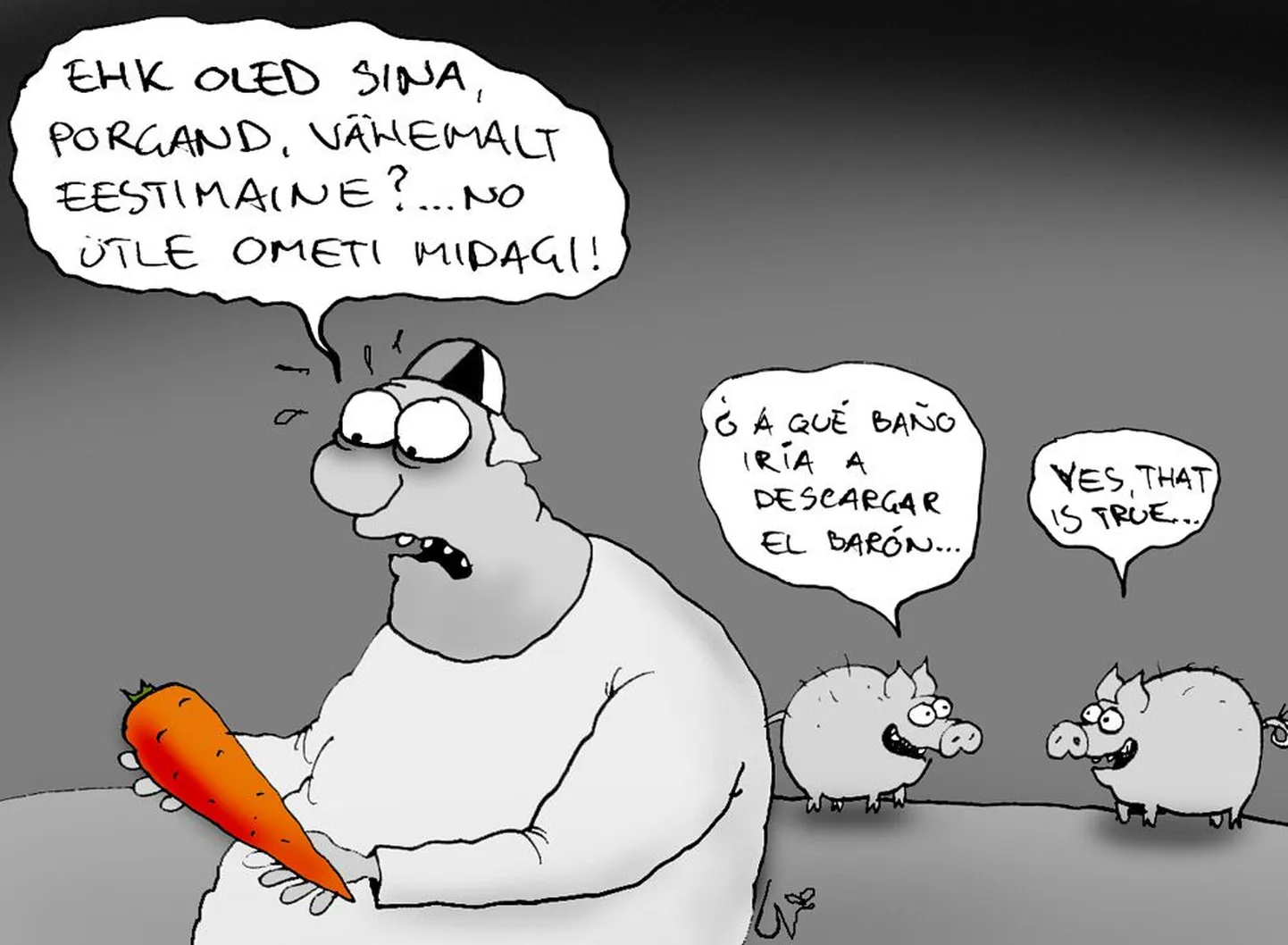 Artikli foto