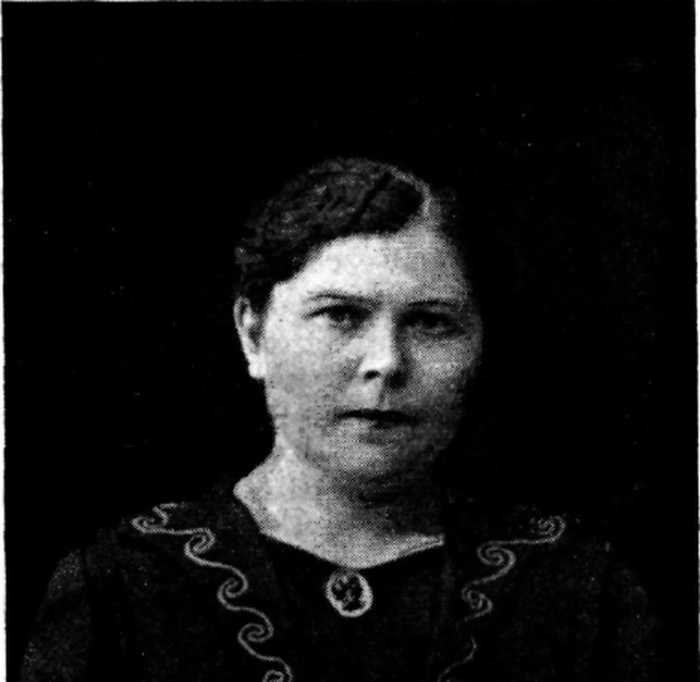 Soomusrongi Mari 1919. aasta kevadel