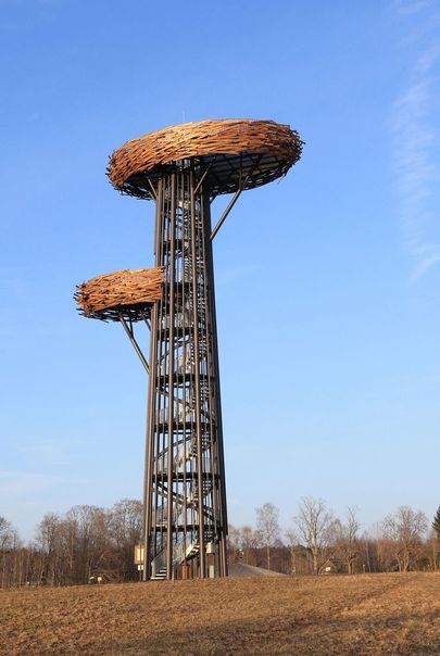 По инициативе волостной управы Рыуге и пособия ЕС в Соловьиной долине была сооружена  уникальная смотровая башня, получившая название Гнездодерева.