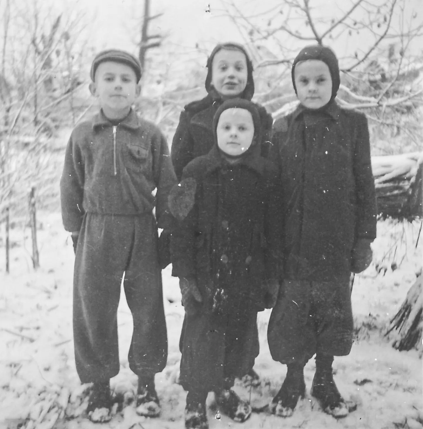 PUNASE JA VALGE ROOSI VENNASKOND: (Vasakult) Tarmo Pikner, Raivo Pikner, Temme Linna ja esiplaanil Ivo Linna 1957.-1958. aasta paiku.