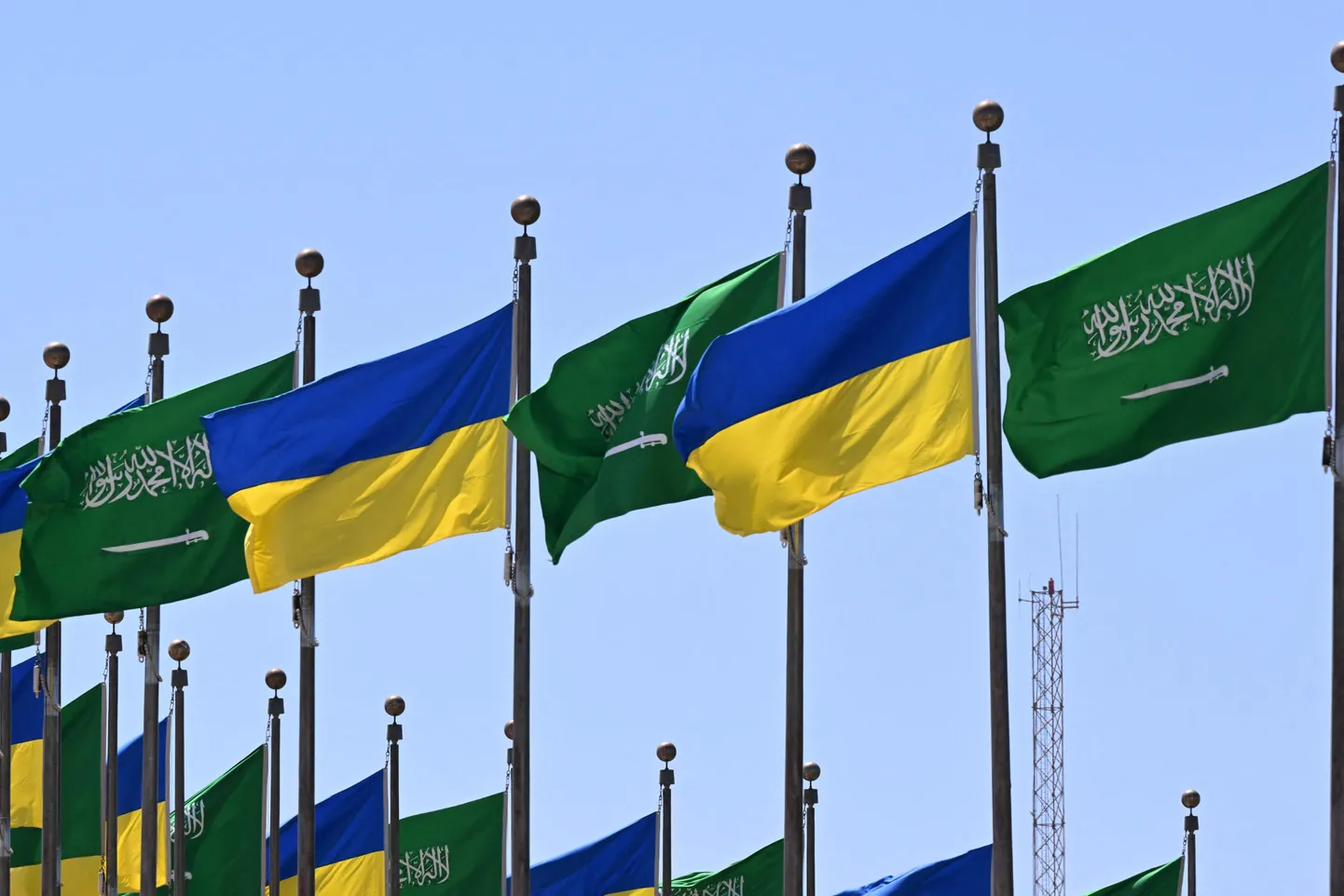 Флаги Украины и Саудовской Аравии