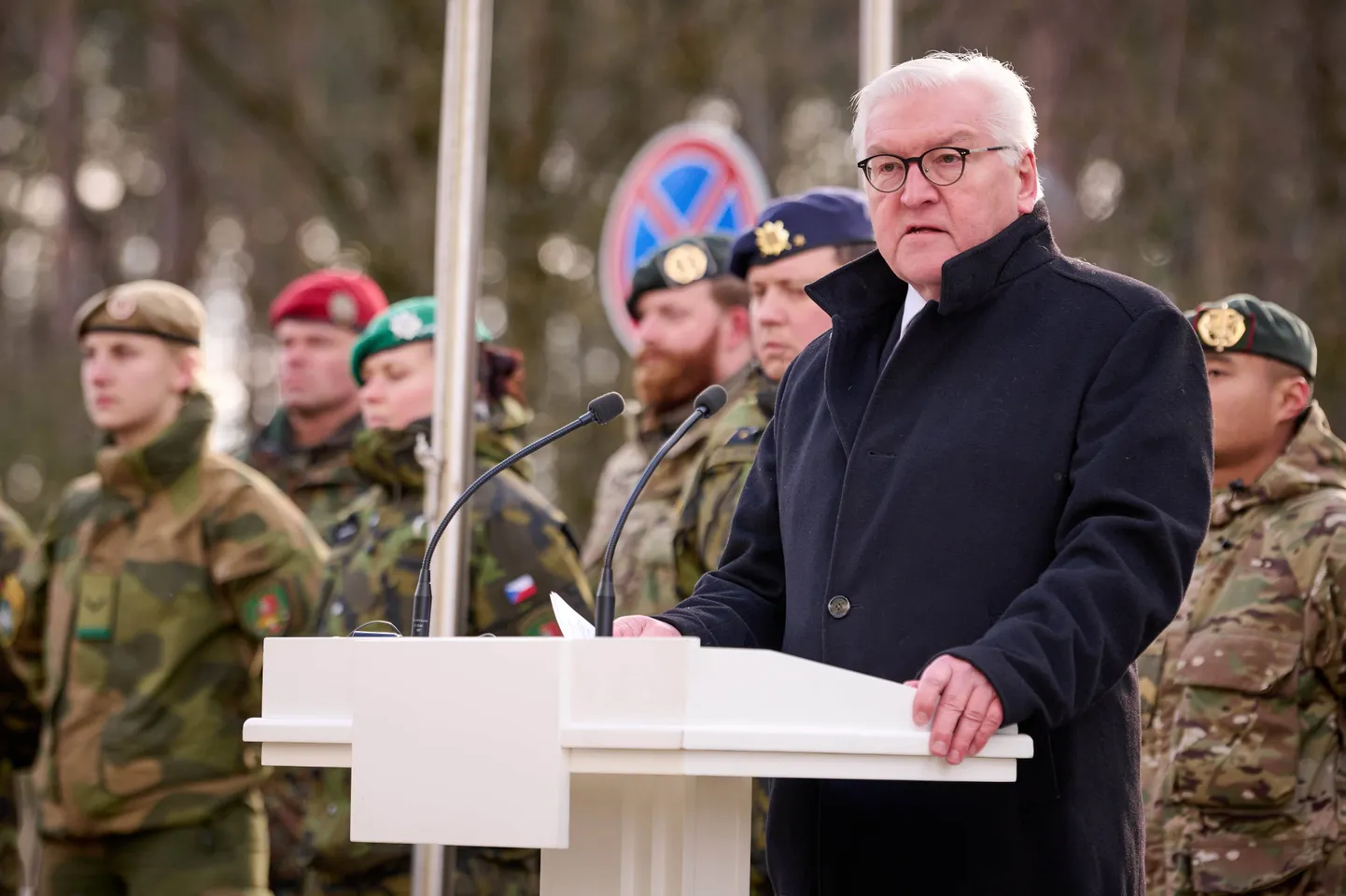Saksamaa president Frank-Walter Steinmeier Leedus kõnet pidamas.