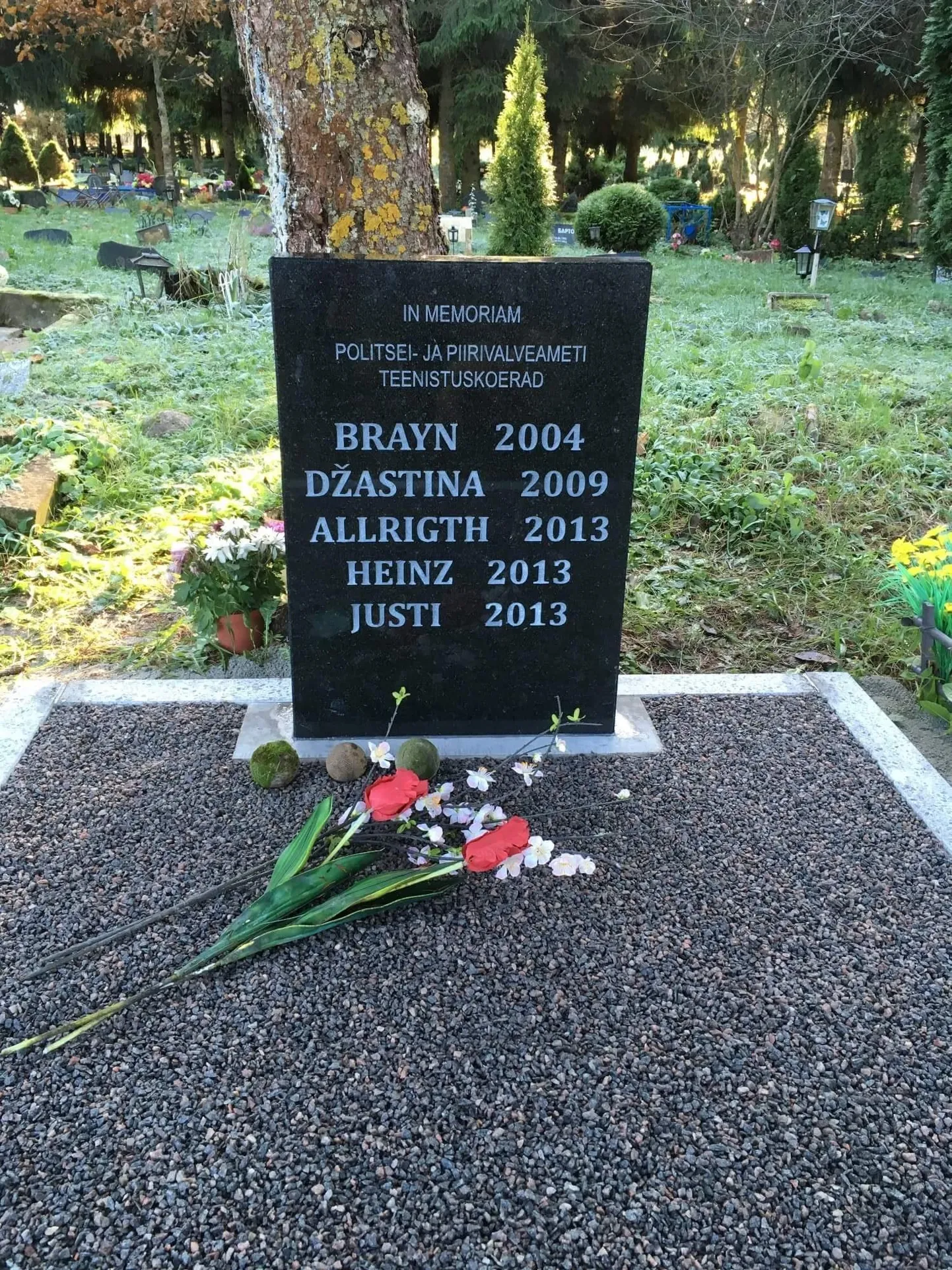 OÜ Hauapiirded juhi Vladimir Limarevi sõnul ei pea lahkunud looma omanikud sageli paljuks tellida oma lemmiku hauale mälestusplaat, -kivi või terve kujundus.