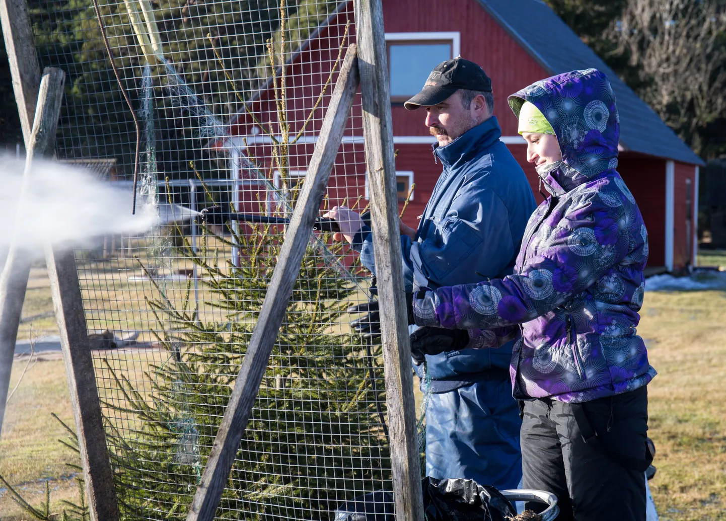 Laupäeva pärastlõunal kalavõrke puhastanud Arvo Lamend ja Avely Sutt on veendunud, et miinimumpalk noori saarel ei hoia.