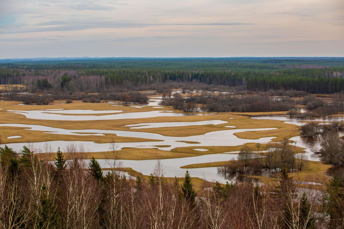 Kuigi tänavu Eesti jõgedel järsku veetaseme tõusu polnud, oli omapärane, et kohati oli talvine veetase kevadisest kõrgemgi. Valgamaal asuv Mustjõgi tõusis veidi nii veebruaris kui ka märtsis.