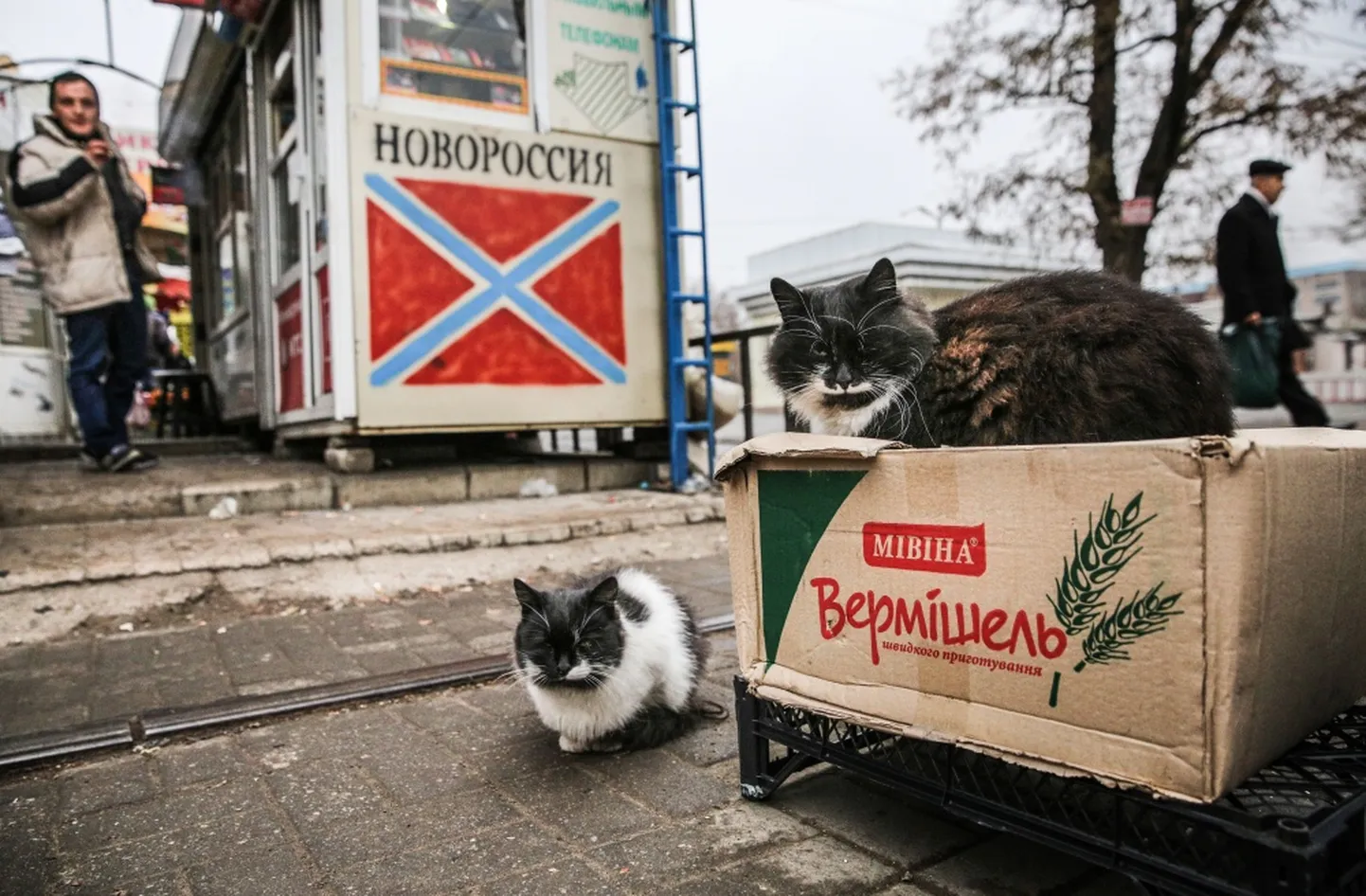 Raksta foto