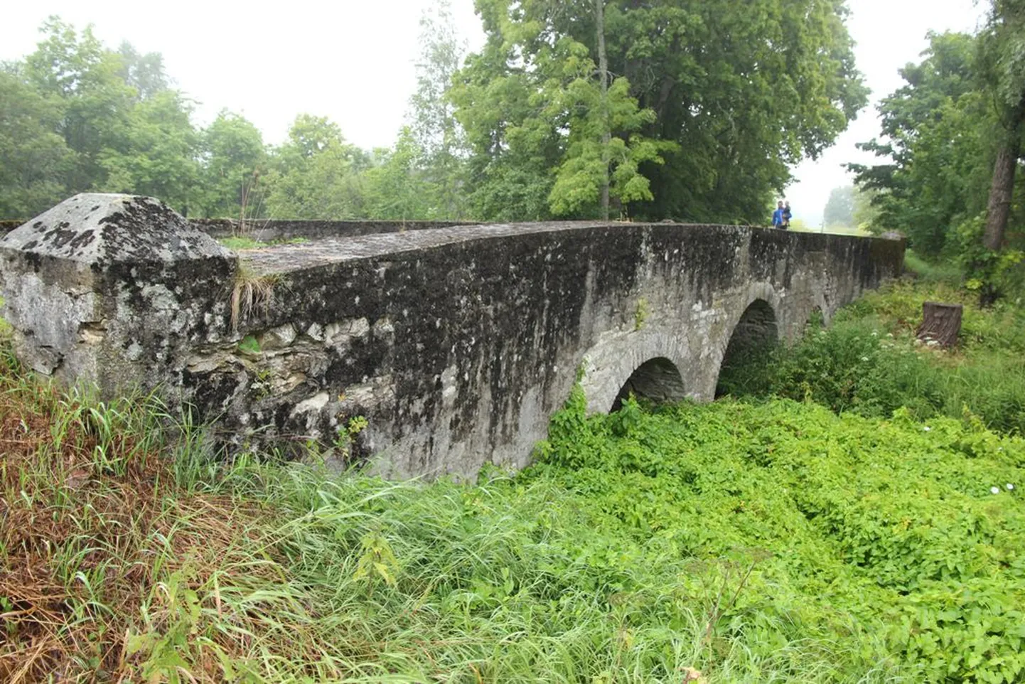 Jõgeva kõrtsi sild.