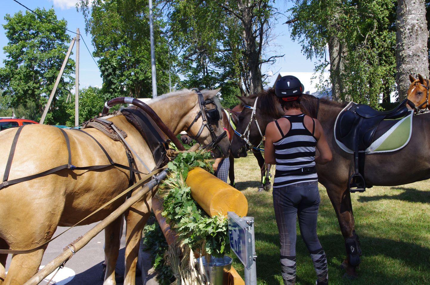 Elektriautode laadimisplatsi kõrvale on paigaldatud lasipuu, kuhu hobused pühapäeval seoti.