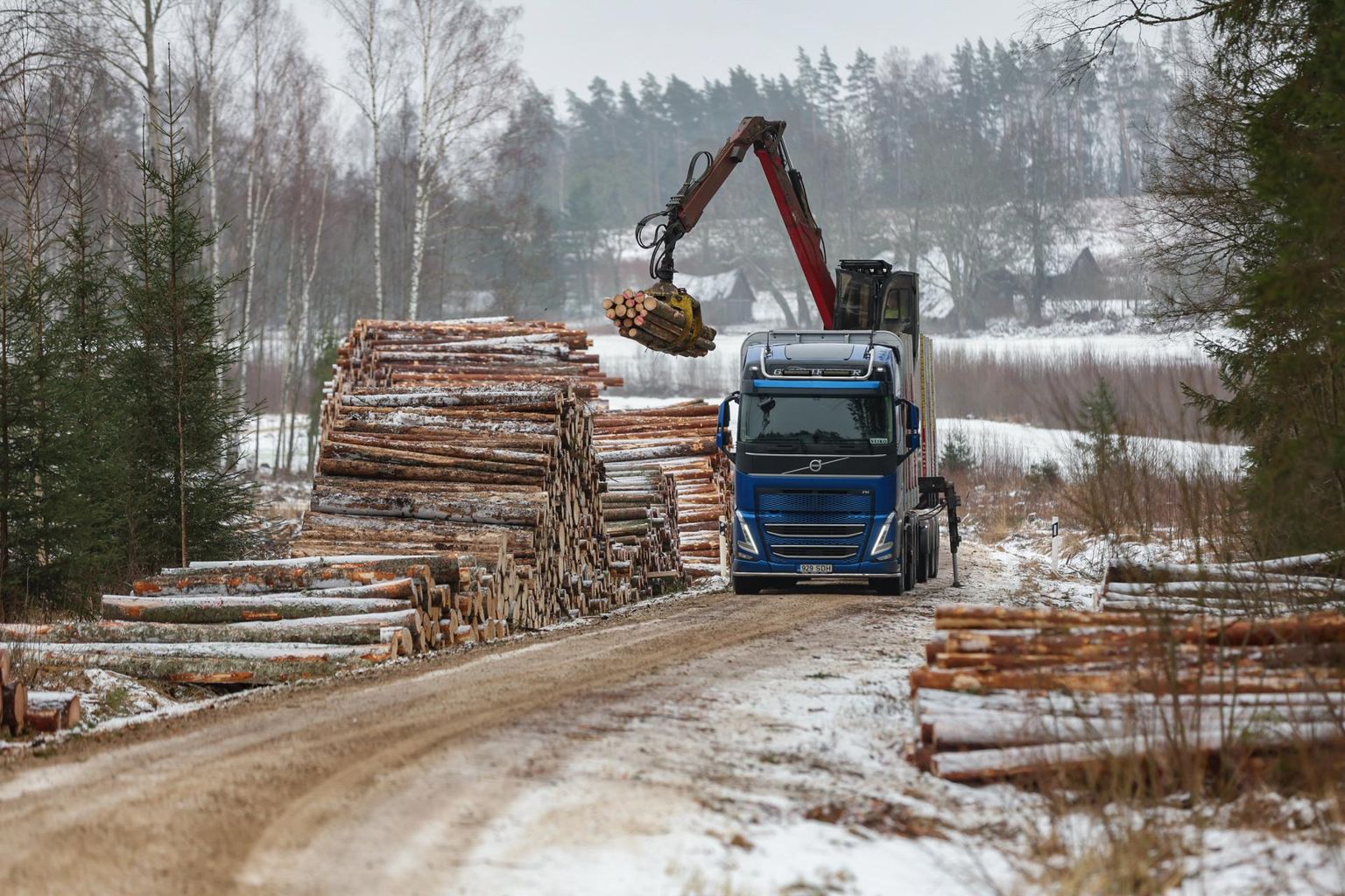 25. jaanuaril käis Nursi ja Lükkä küla vahel täie hooga lageraie ja metsamaterjali minemaviimine.