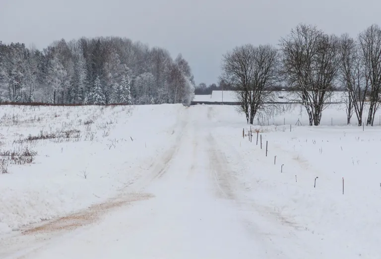 Lepa küla Valgamaal.