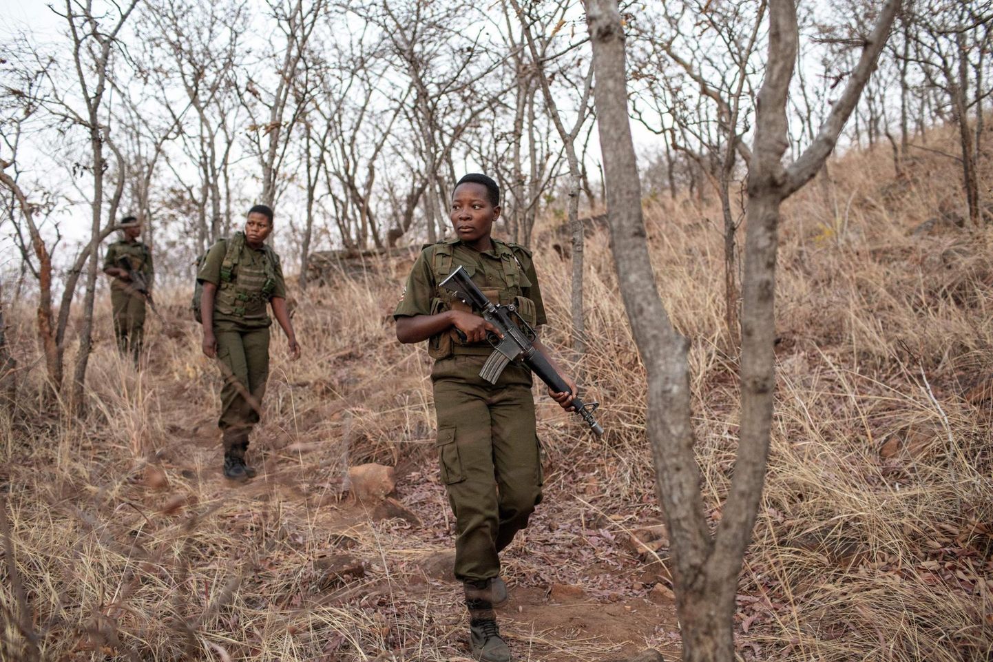 Akashinga pargivahid demonstreerivad oma patrullimisoskusi Phundundu baaslaagris Zimbabwes. Kuigi rühma kuuluvad naised kannavad relva, on nende esmaseks ülesandeks kaitsta loomi salaküttide eest koostöös kohalike elanikega.