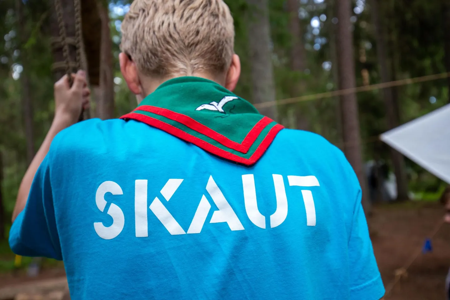 Eesti Skautide Ühing korraldas eriolukorra tingimustes kõigile skautidele ja skautlikust matkast huvitatutele virtuaalse matkaürituse. Foto on illustreeriv.