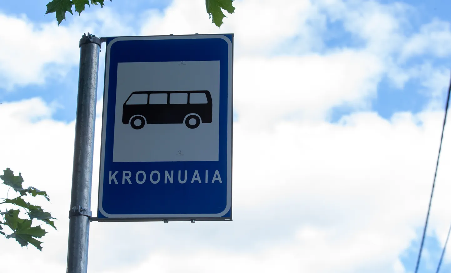 Kroonuaia bussipeatus.