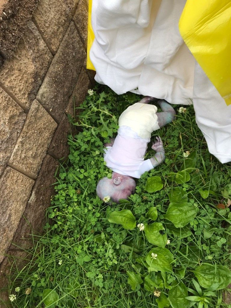 New Yorgis Queensis Crocheroni pargis leiti nukk, keda peeti surnud väikelapseks