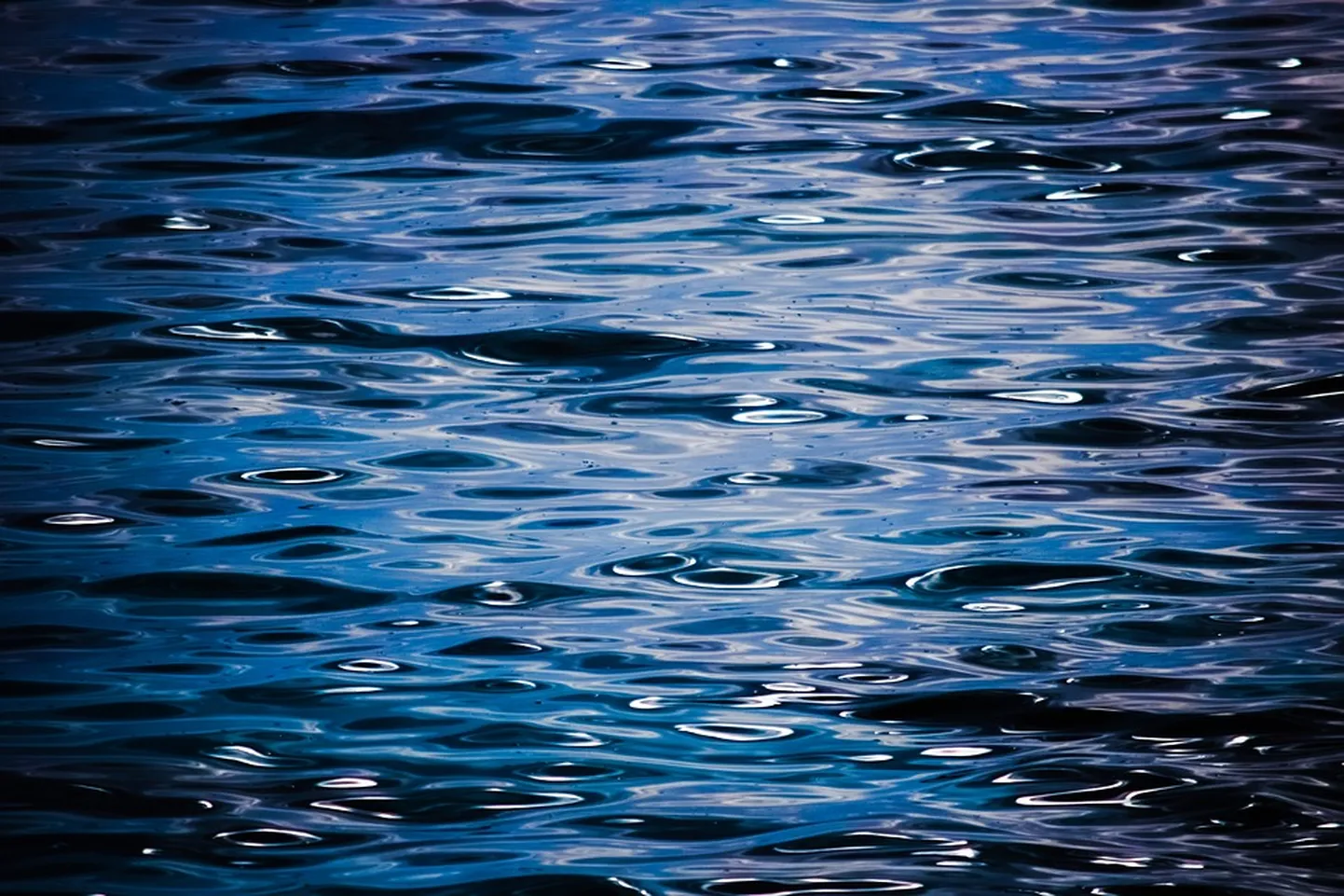 Фото статьи