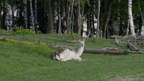 Startam gatavs 29. Baltijas jūras dokumentālo filmu forums