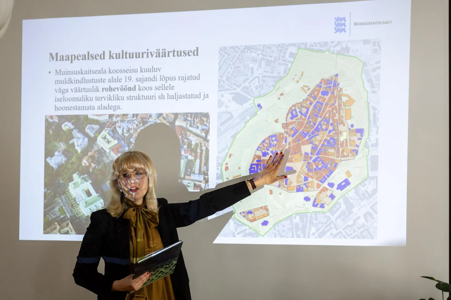 Анита Стауб, руководитель отдела строительного наследия Департамента охраны памятников старины, представила ценности театра «Эстония» и его окрестностей.