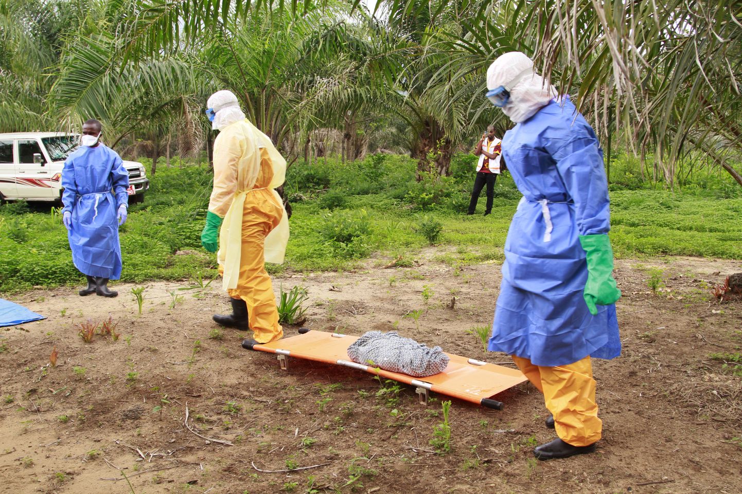 Guineas maetakse 2015. aastal ebolasse surnud väikelast.