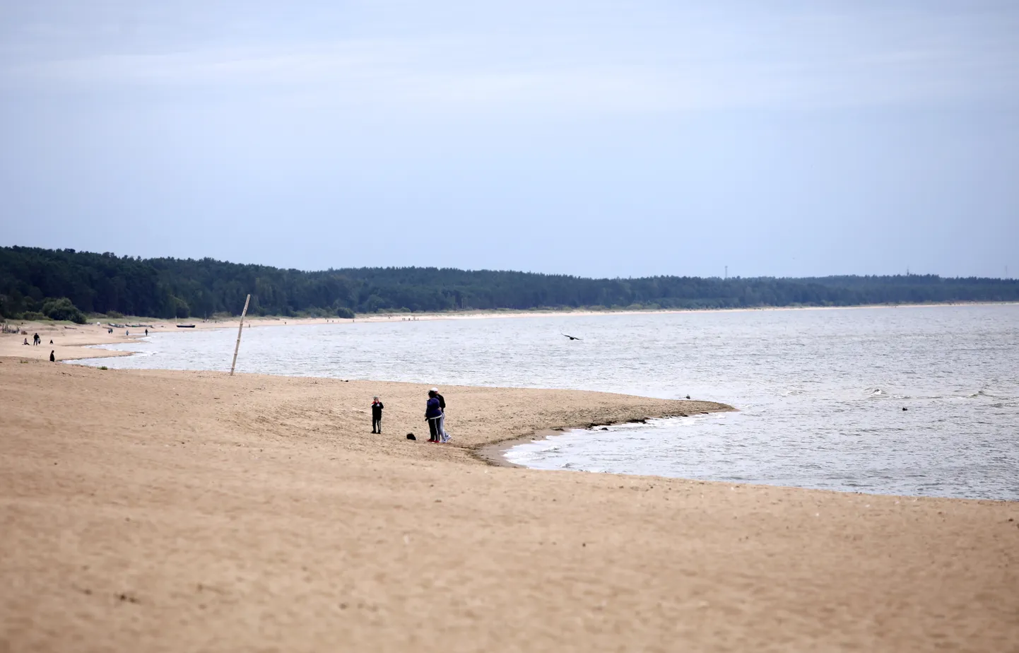 Пляж в Латвии