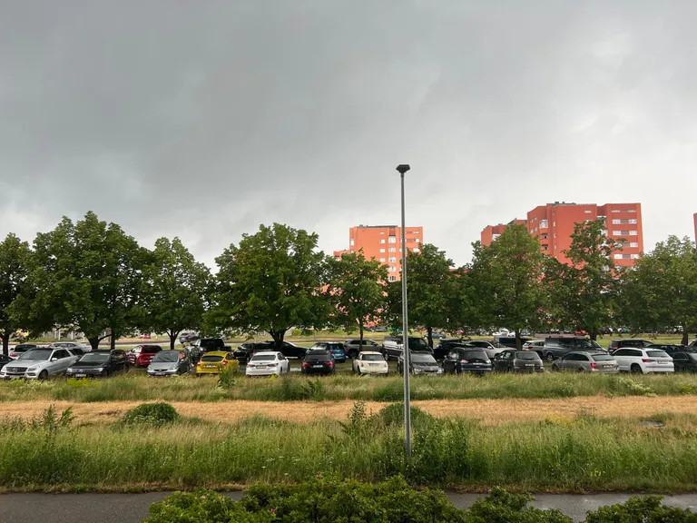 Припаркованные на газоне автомобили. 2 июля 2023 года.