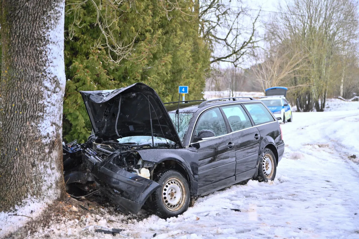 Libedaga juhitavuse kaotanud auto põrkas Mulgi vallas vastu puud.