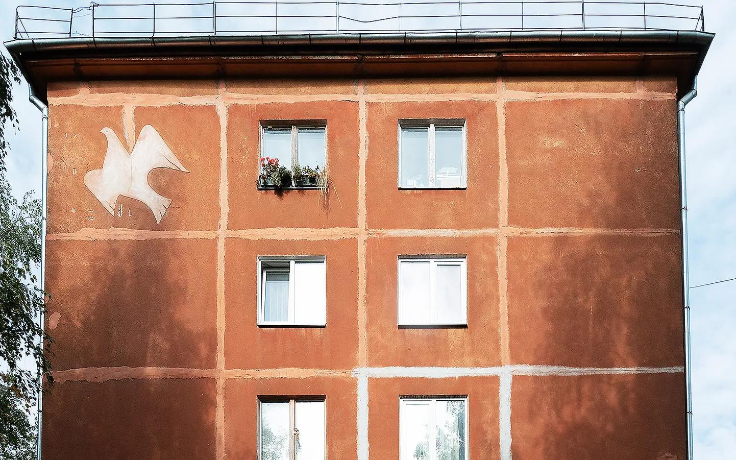Raksta foto