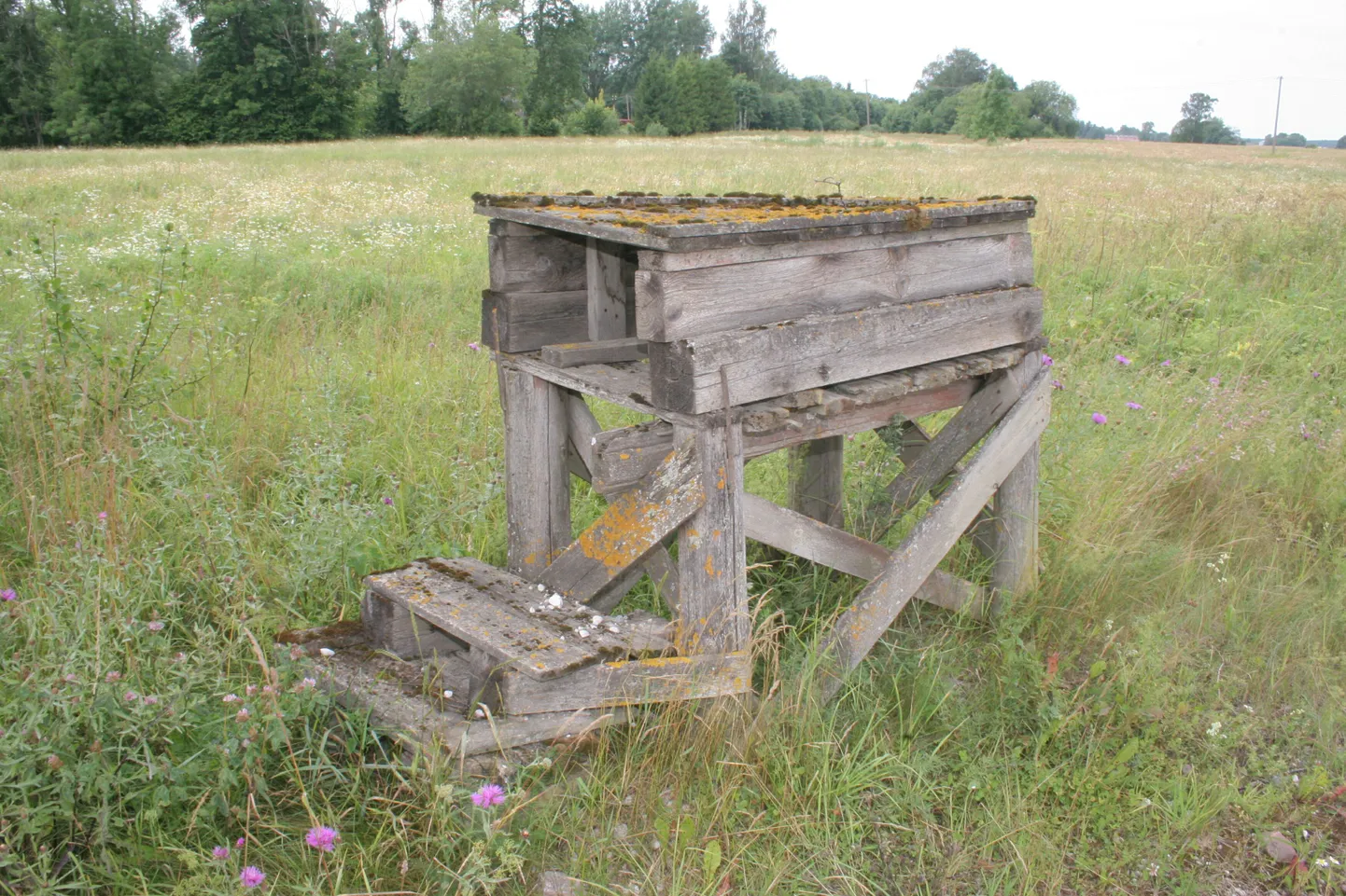 Pildil olev piimapukk asub Pärnumaal Alu külas.