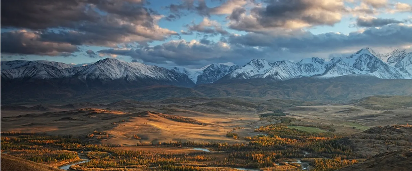Фото статьи