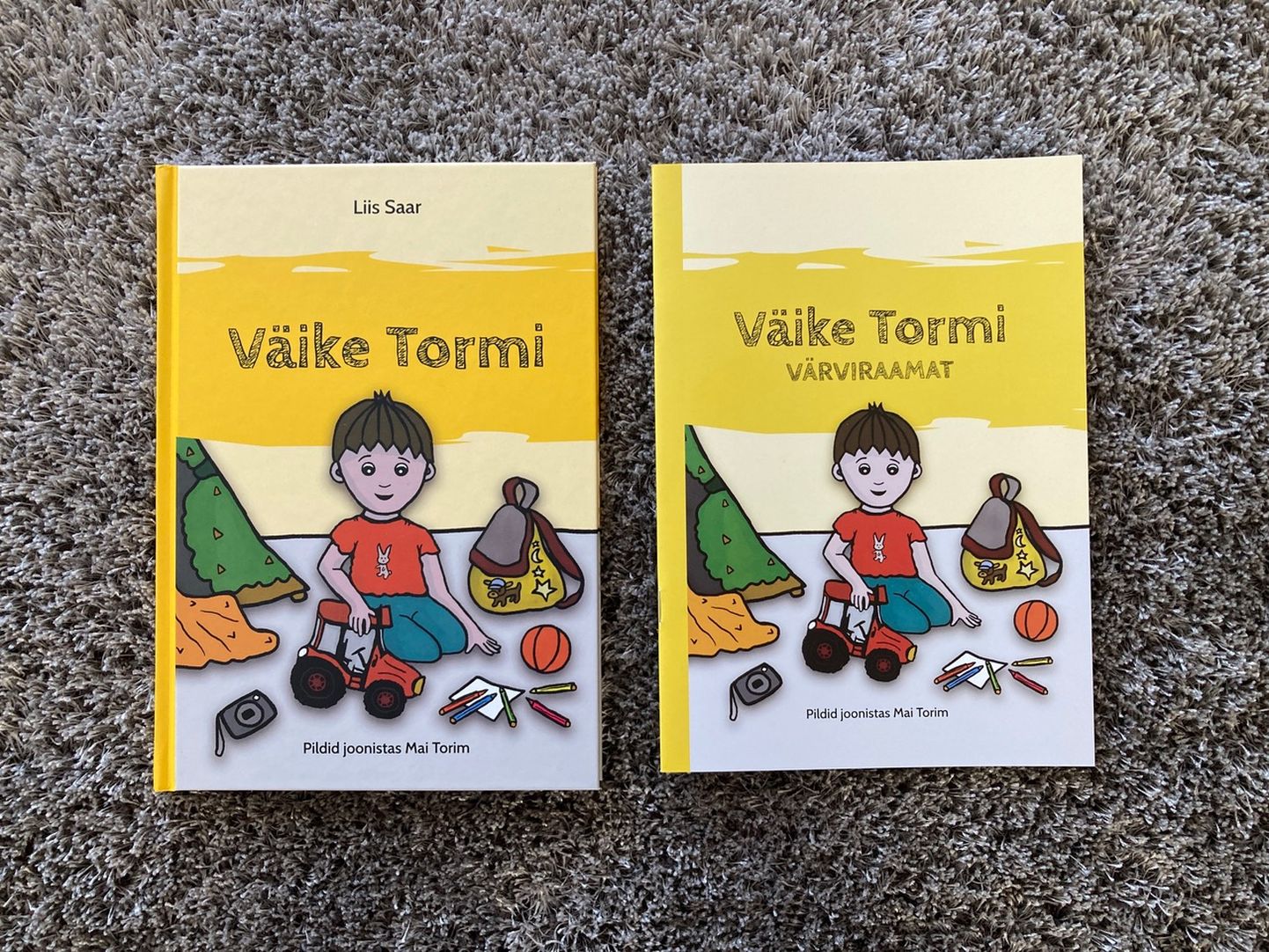 «Väike Tormi». Autor Liis Saar, illustraator Mai Torim.