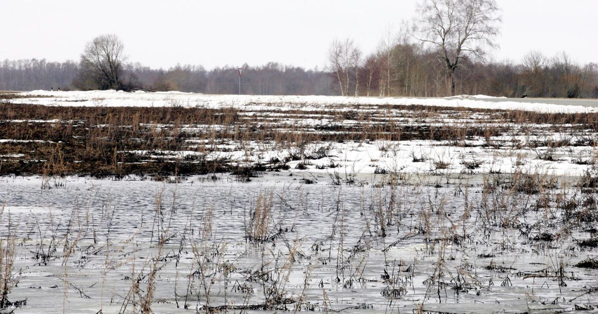 Eeloleva nädala algus veel kevadsooja ei too