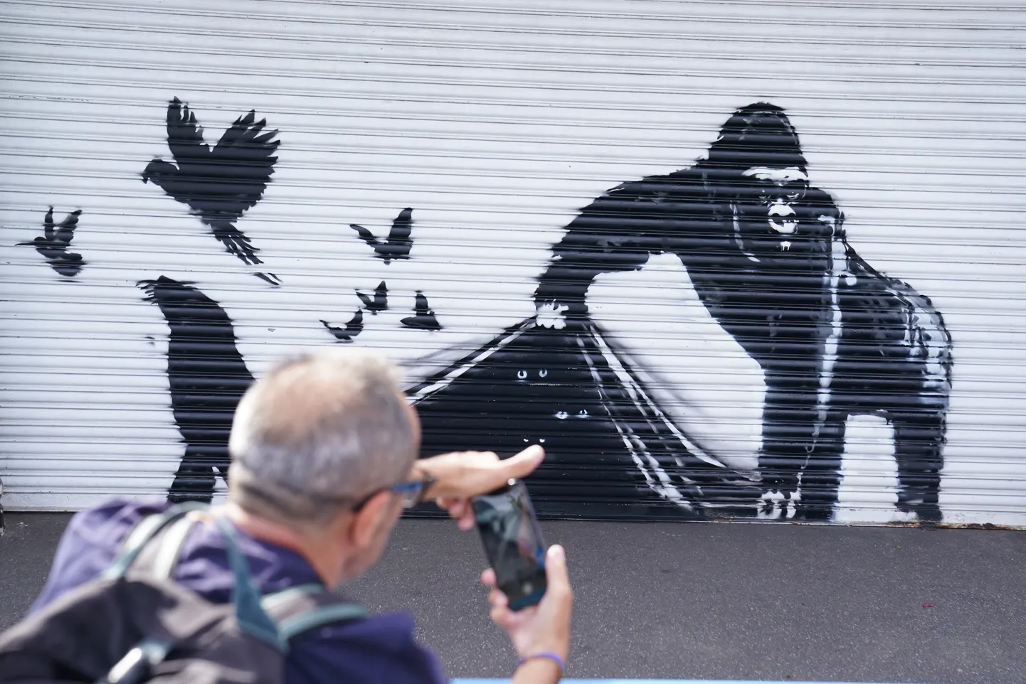 Uusim asukas Banksy kasvavas loomaaias on gorilla, kes vabastab linde.