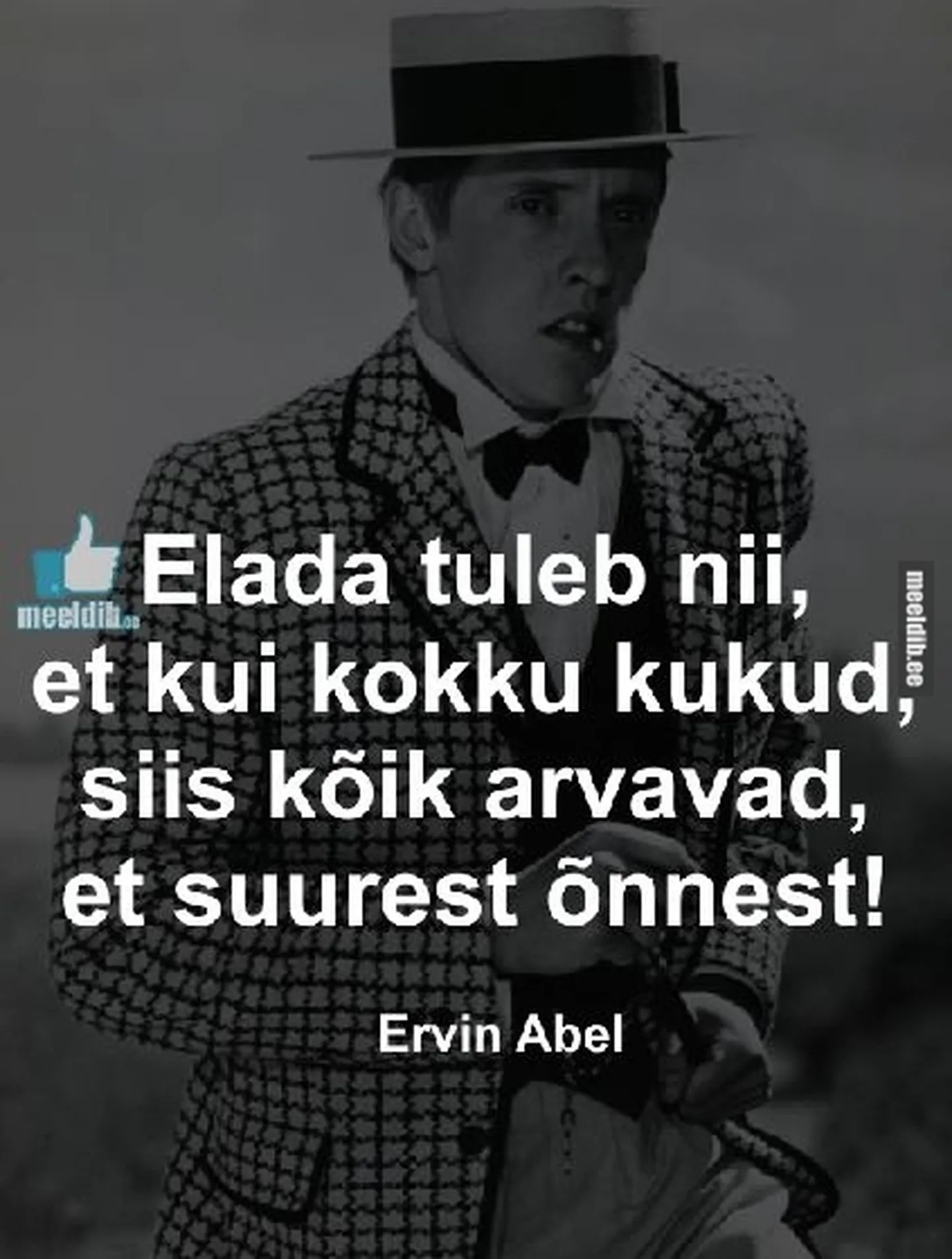 Artikli foto