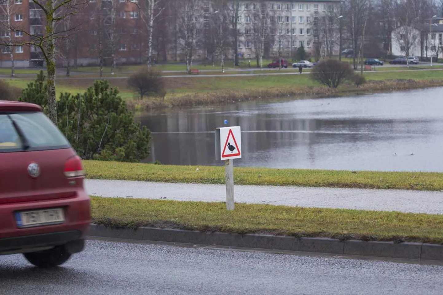 Pardimärgid kutsuvad autojuhte valvsusele.