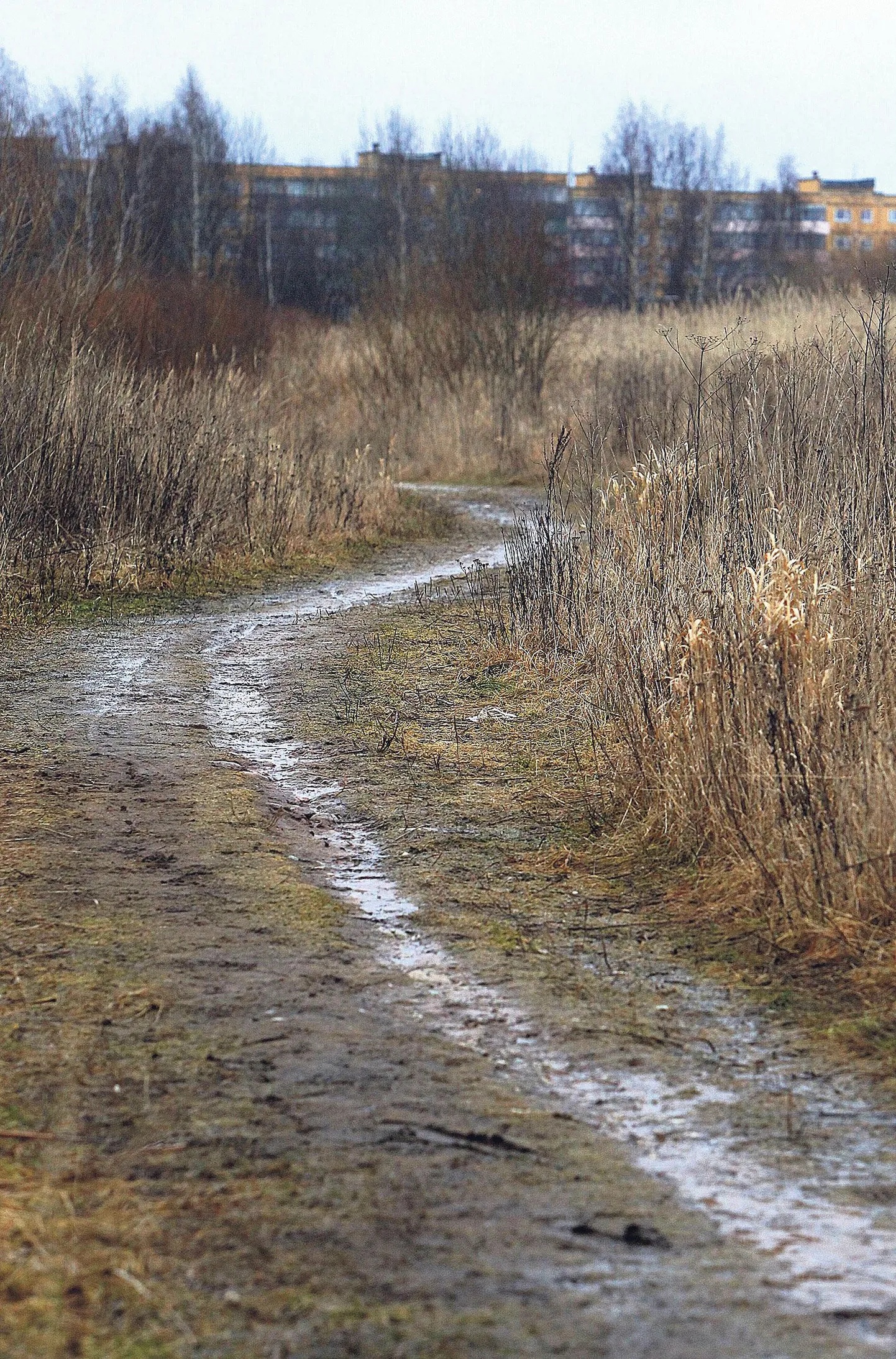 Jälgede järgi hinnates on Mõisavahe tänava ja Ihaste metsade vahele jääv rada üsna aktiivses kasutuses. Tulevikus soovivad nii elanikud kui linn sinna korralikku kergliiklusteed.