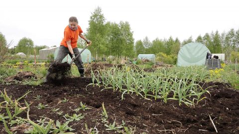 ELU ISE ⟩ Linnaaednikud teevad põuast hoolimata usinalt kevadkülvi