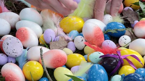 Kuhu minna nädalavahetusel Lõuna-Eestis?