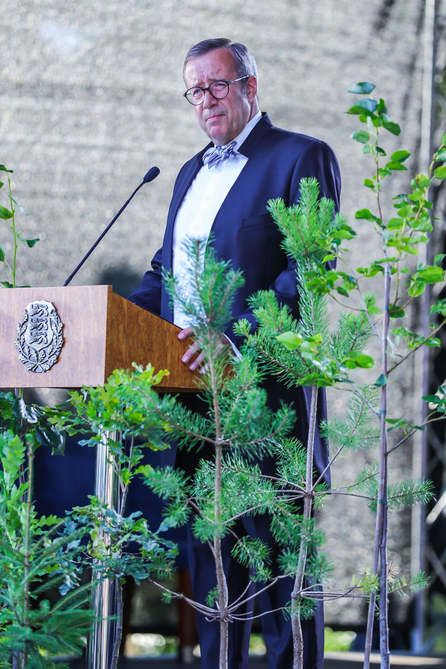 Presidendi vastuvõtt roosiaias, Toomas Hendrik Ilves
