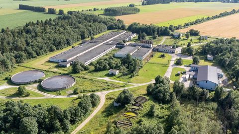 Töötukassa andmetel koondavad ettevõtted sel sügisel vähemalt 176 töötajat