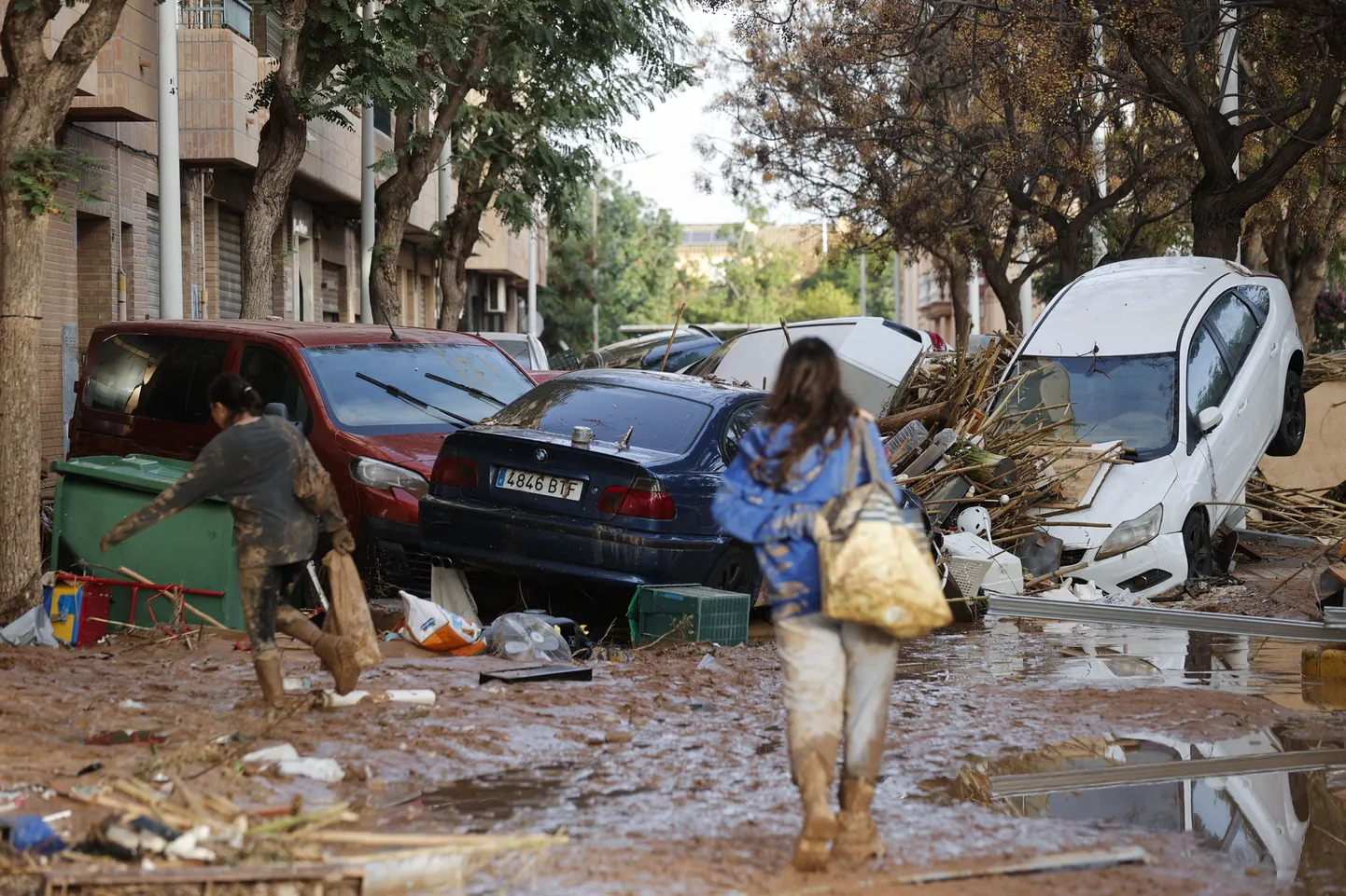 Artikli foto