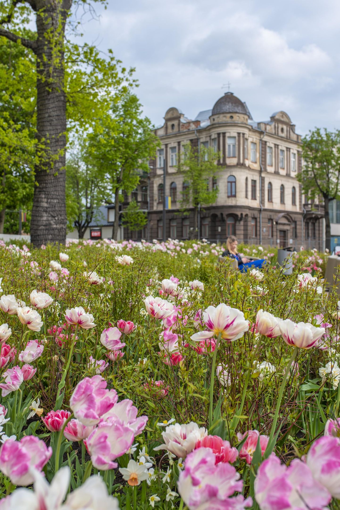 Kaunase elu keerleb lillede ümber, nende järgi lõhnavad parfüümid, seebid, kaardimängud ja üldse kogu linn.

FOTO: Silvia Pärmann
